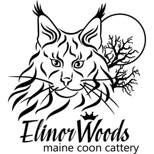 Elinor Woods