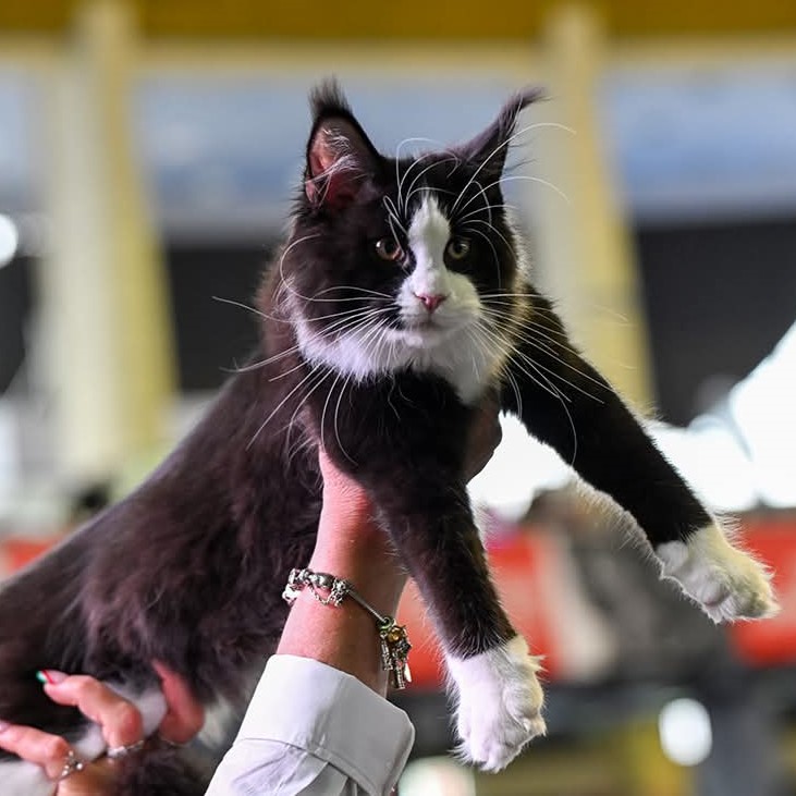 Nothing Else di Chiaramaio Mai