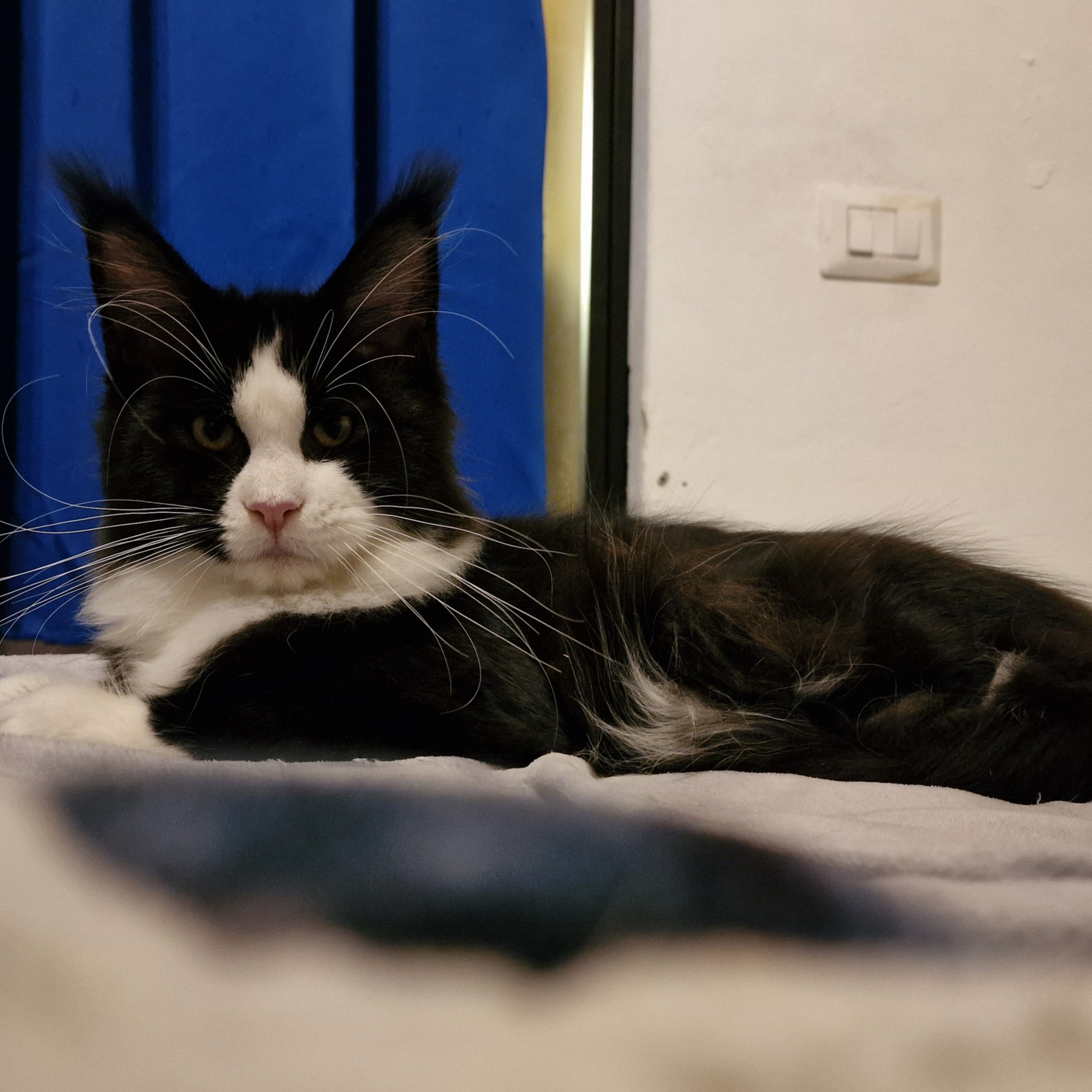 Nothing Else di Chiaramaio Mai