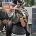 Nek